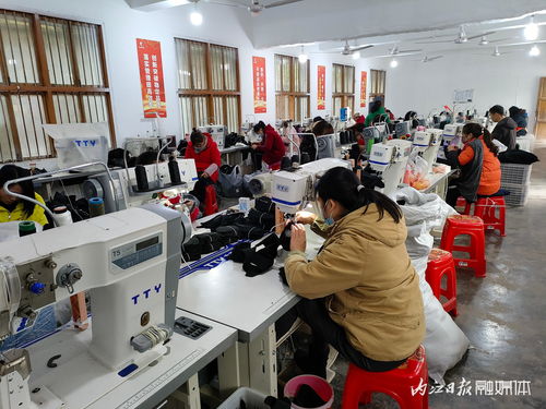 促进就业 助力增收 唤醒 闲置资源,资中县闲置村小成产业发展 香饽饽